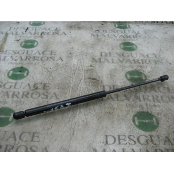 AMORTIGUADORES MALETERO / PORTON 