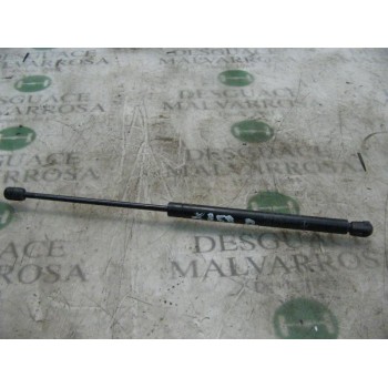 AMORTIGUADORES MALETERO / PORTON 