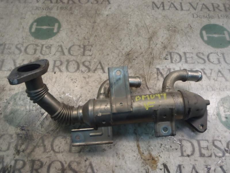 Recambio de enfriador egr para seat cordoba berlina (6l2) reference referencia OEM IAM 038131513K  