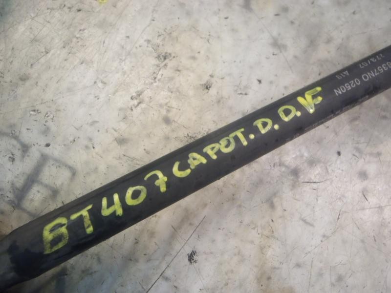 Recambio de amortiguador capot para fiat stilo (192) 1.6 16v referencia OEM IAM   