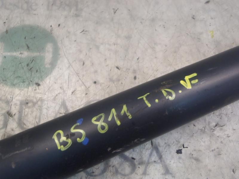 Recambio de amortiguador trasero derecho para peugeot 207 xs referencia OEM IAM   