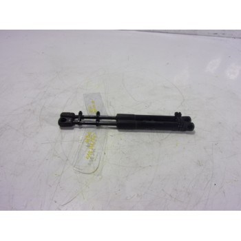 AMORTIGUADOR CAPOT 50535450 