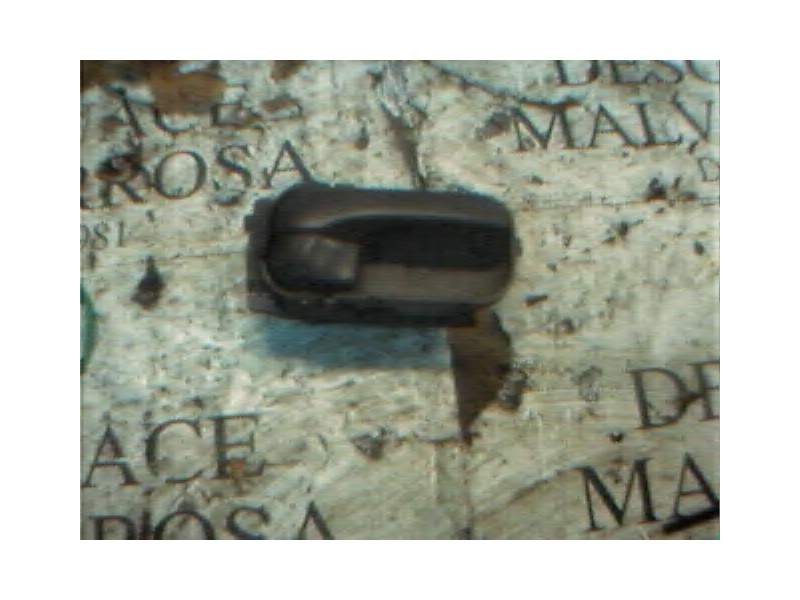 Recambio de maneta interior trasera izquierda para nissan almera (n16/e) comfort referencia OEM IAM   