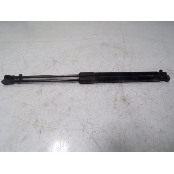 AMORTIGUADORES MALETERO / PORTON 51247239871 8135620455N 