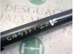 Recambio de amortiguador trasero izquierdo para citroën c3 1.4 referencia OEM IAM 5206VW   2