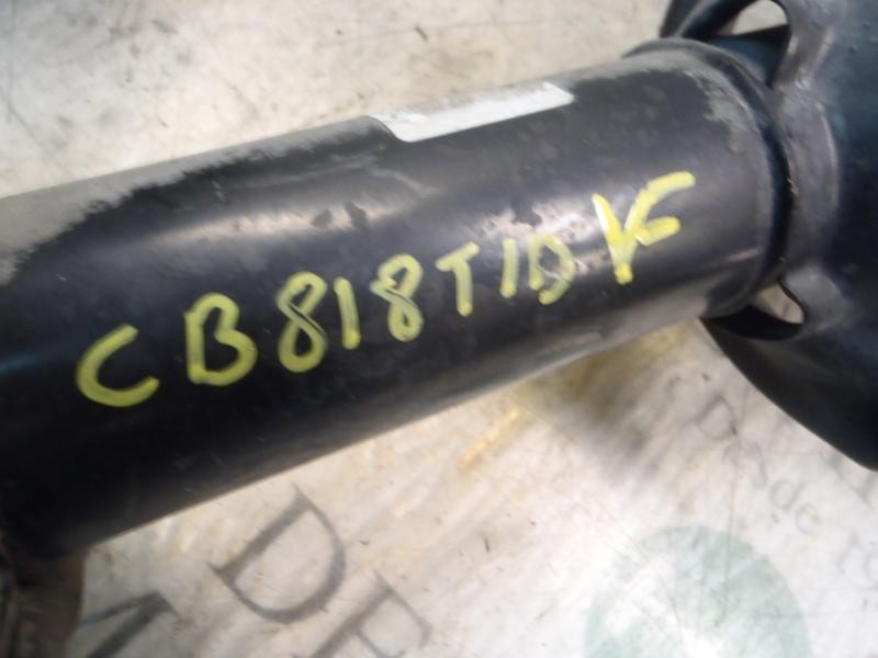 Recambio de amortiguador trasero derecho para land rover freelander (ln) se targa referencia OEM IAM RPD102180  