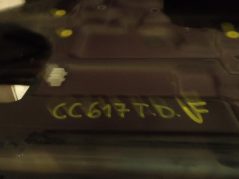 Recambio de puerta trasera derecha para hyundai terracan (hp) 2.5 tci referencia OEM IAM 77020H1010  