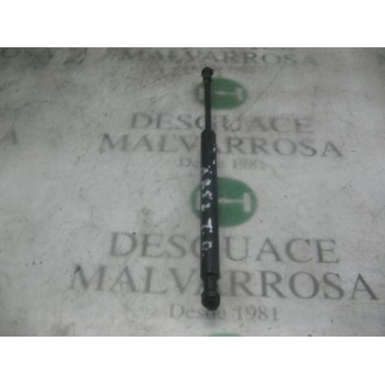 AMORTIGUADORES MALETERO / PORTON 51248254281 