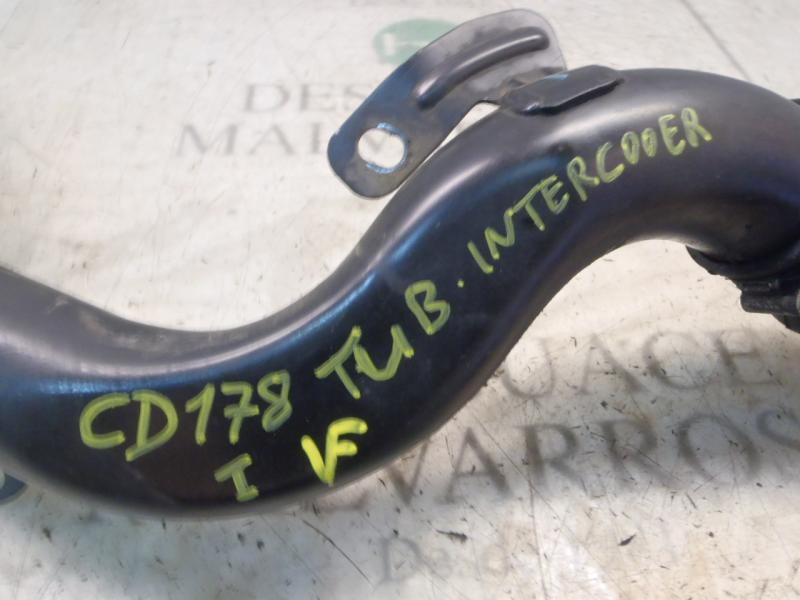 Recambio de tubo intercooler para ford focus berlina (cak) ghia referencia OEM IAM   