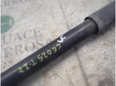 Recambio de amortiguador trasero izquierdo para nissan micra (k12e) acenta referencia OEM IAM    2