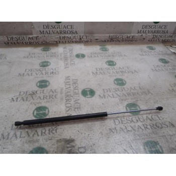 AMORTIGUADORES MALETERO / PORTON 