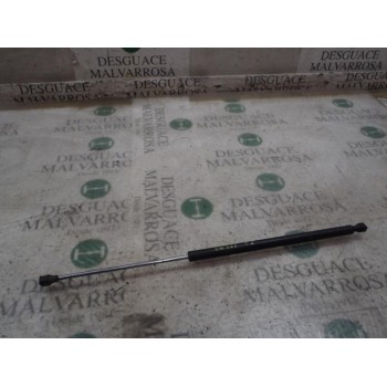 AMORTIGUADORES MALETERO / PORTON 