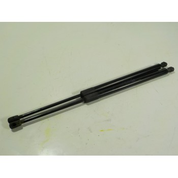 AMORTIGUADORES MALETERO / PORTON 74820TGG305 