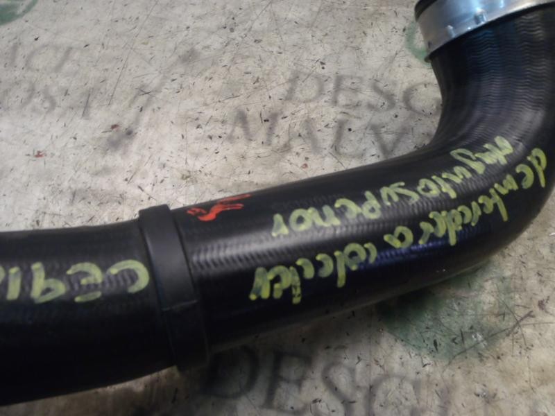 Recambio de tubo intercooler para seat leon (1p1) reference referencia OEM IAM 1K0145838N  