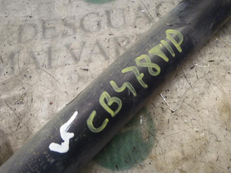 Recambio de amortiguador trasero derecho para renault clio iii authentique referencia OEM IAM   