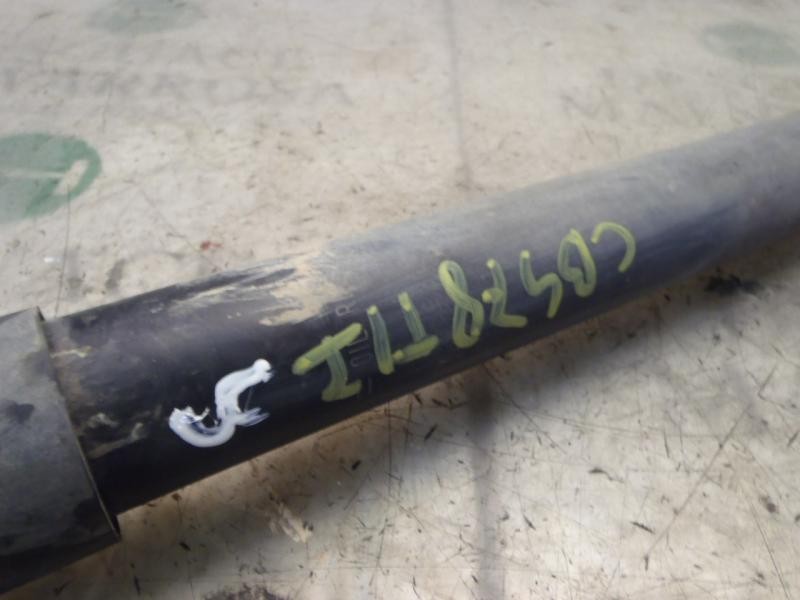 Recambio de amortiguador trasero izquierdo para renault clio iii authentique referencia OEM IAM   