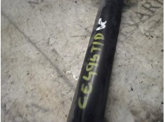 Recambio de amortiguador trasero derecho para fiat linea (110) activa (110.0/111.0) referencia OEM IAM 51805320   2