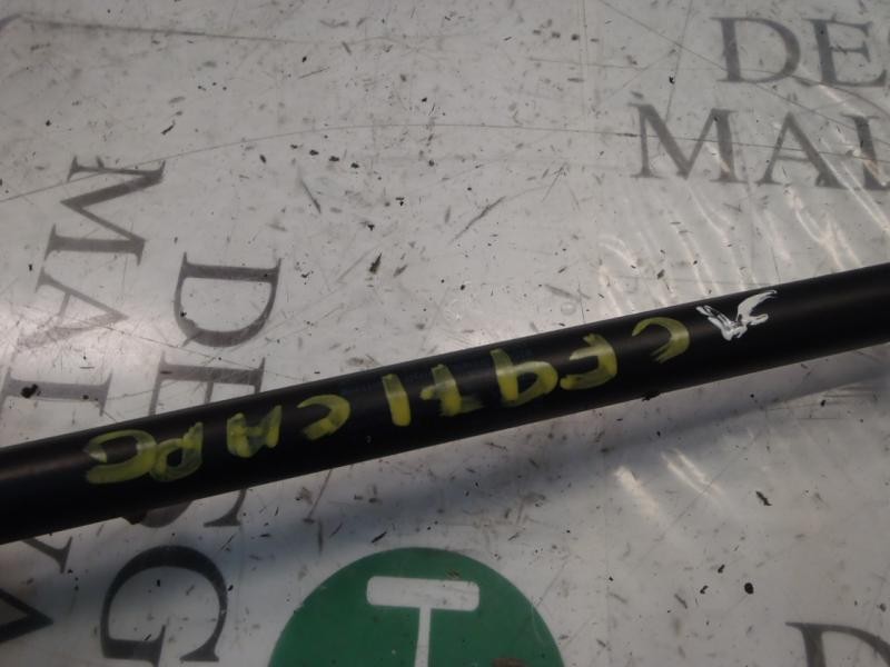 Recambio de amortiguador capot para seat leon (1m1) sport referencia OEM IAM   