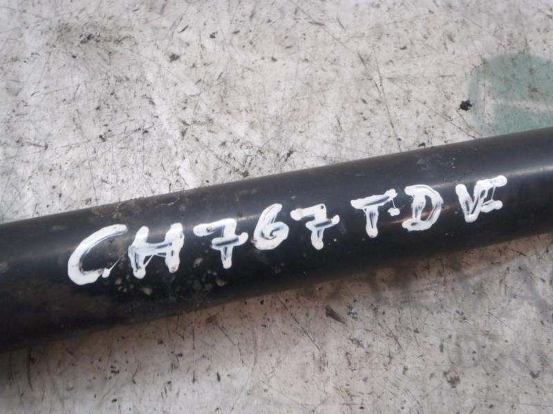 Recambio de amortiguador trasero derecho para ford focus lim. (cb8) trend referencia OEM IAM 1751388  