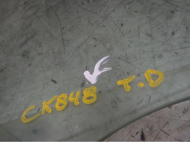 Recambio de cristal puerta trasero derecho para fiat bravo (198) 1.9 dynamic multijet referencia OEM IAM 51788741  