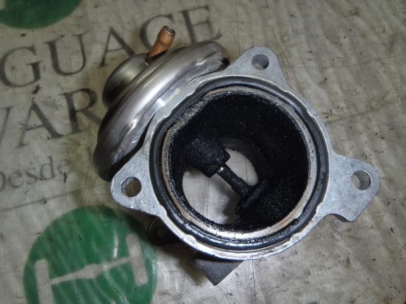 Recambio de valvula egr para volkswagen polo (9n3) highline referencia OEM IAM   