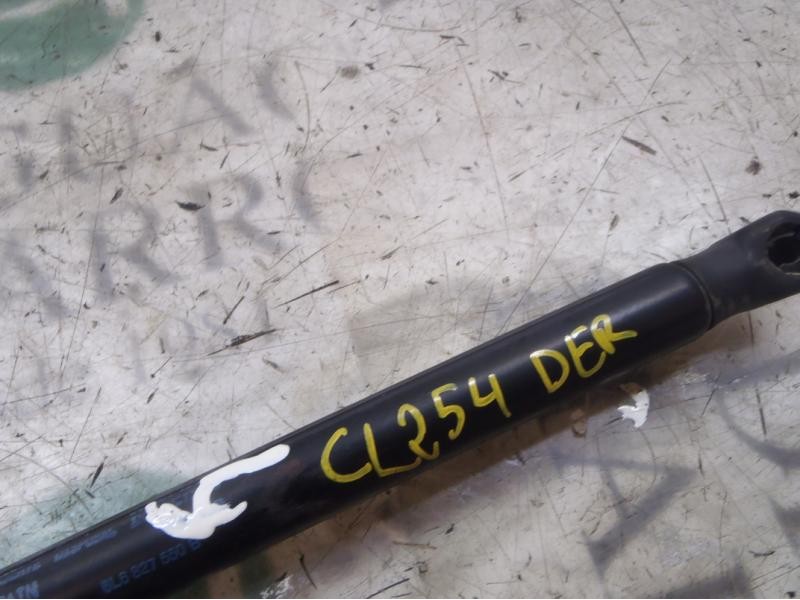 Recambio de amortiguadores maletero / porton para seat ibiza (6l1) hit referencia OEM IAM   