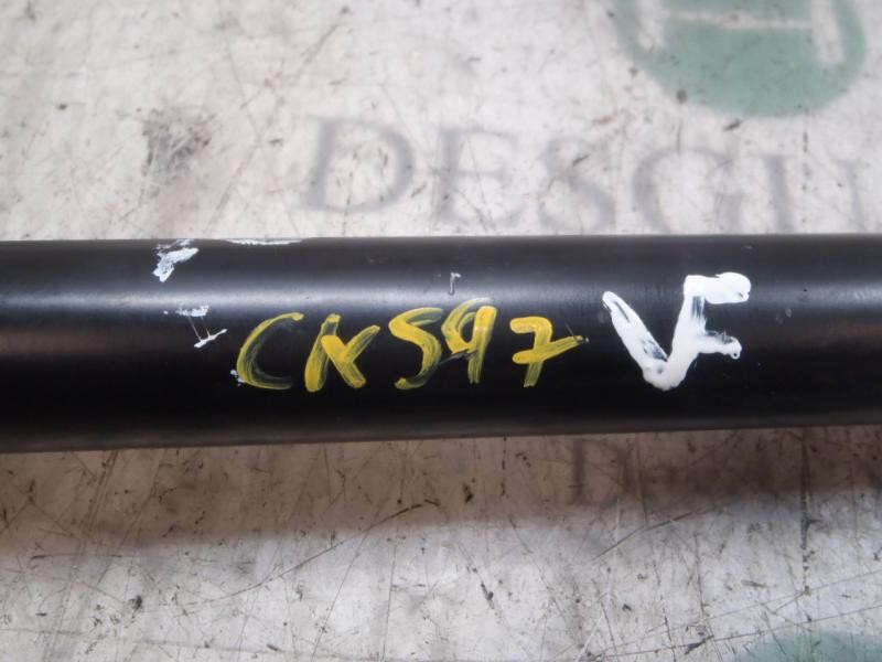 Recambio de amortiguador trasero derecho para ford fiesta (cb1) trend referencia OEM IAM   