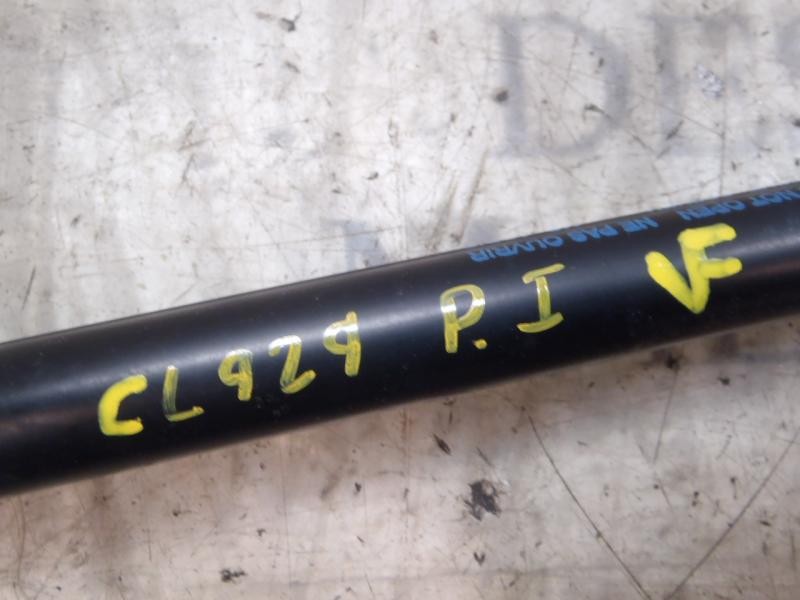 Recambio de amortiguadores maletero / porton para ford fiesta (cb1) trend referencia OEM IAM 1666068  