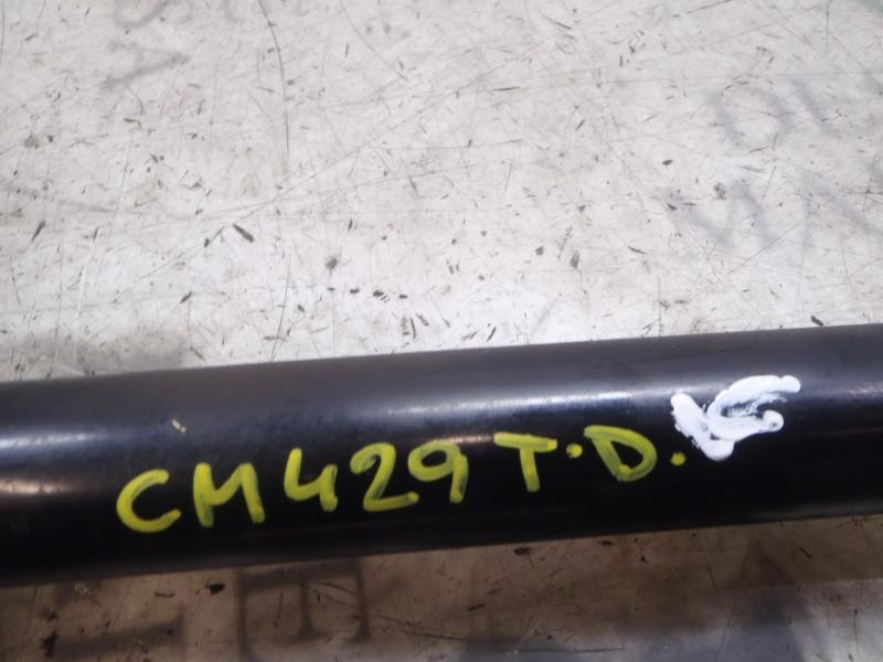 Recambio de amortiguador trasero derecho para fiat bravo (198) 1.9 emotion multijet referencia OEM IAM 51800724  