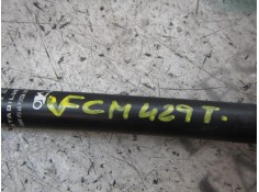 Recambio de amortiguadores maletero / porton para fiat bravo (198) 1.9 emotion multijet referencia OEM IAM 51812267   2