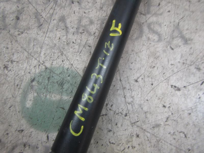 Recambio de amortiguadores maletero / porton para seat alhambra (7v9) stella referencia OEM IAM   