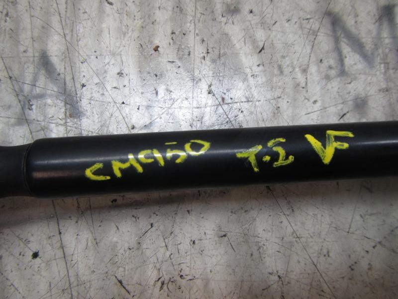 Recambio de amortiguadores maletero / porton para ford fiesta (cb1) trend referencia OEM IAM   