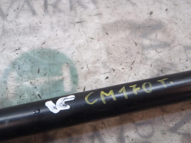 Recambio de amortiguadores maletero / porton para renault espace iv (jk0) dynamique referencia OEM IAM   