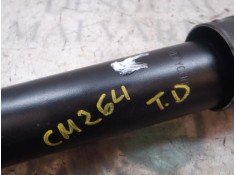 Recambio de amortiguador trasero derecho para renault zoe referencia OEM IAM    2