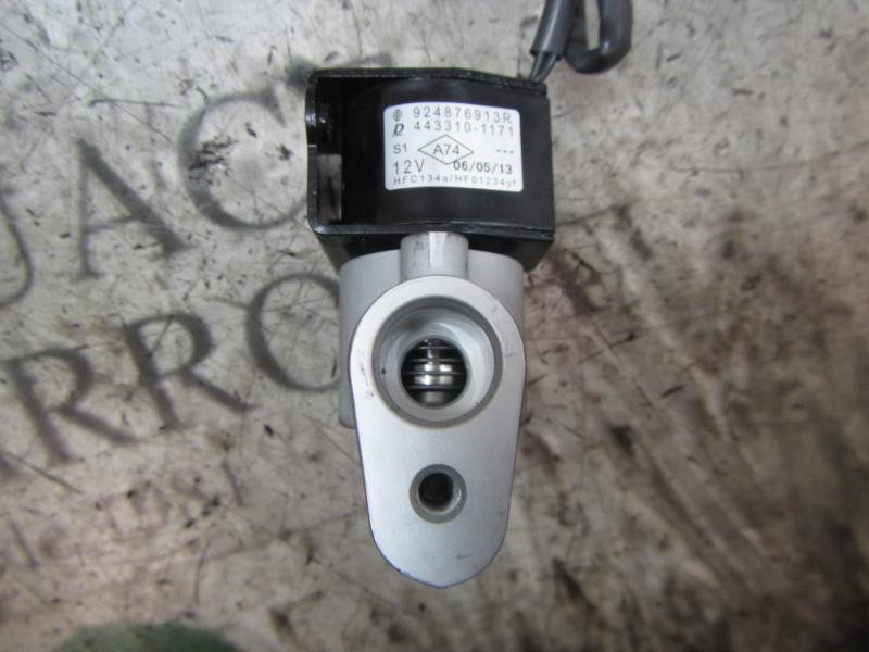 Recambio de modulo electronico para renault zoe referencia OEM IAM  924876913R 