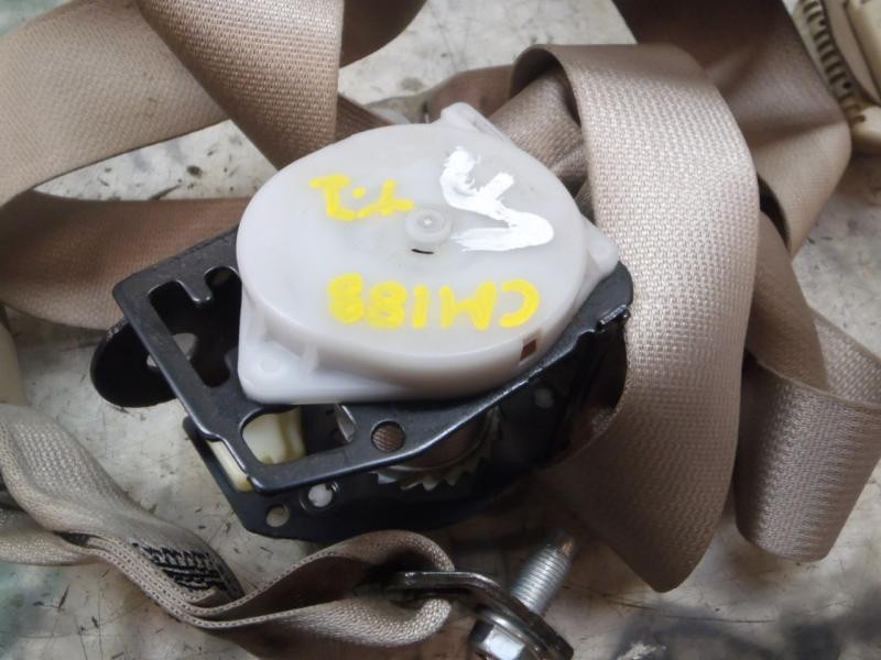 Recambio de cinturon seguridad trasero izquierdo para nissan murano (z50) básico referencia OEM IAM 88845CC001  