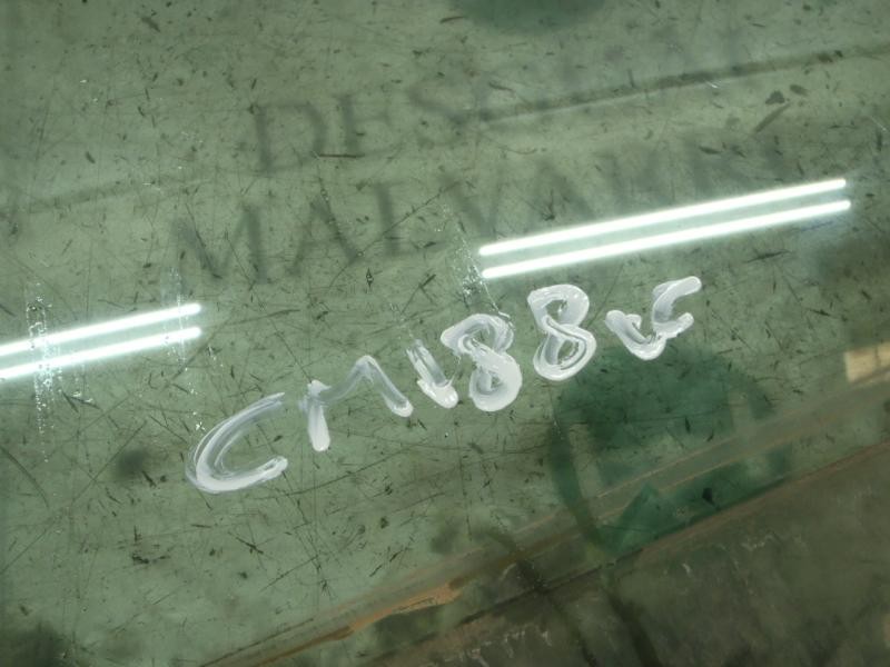 Recambio de cristal puerta delantero derecho para nissan murano (z50) básico referencia OEM IAM 80300CA000  