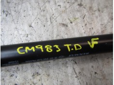 Recambio de amortiguadores maletero / porton para dacia sandero 1.5 dci diesel fap cat referencia OEM IAM 904529943R   2