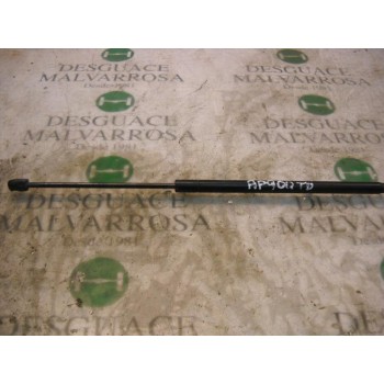 AMORTIGUADORES MALETERO / PORTON 