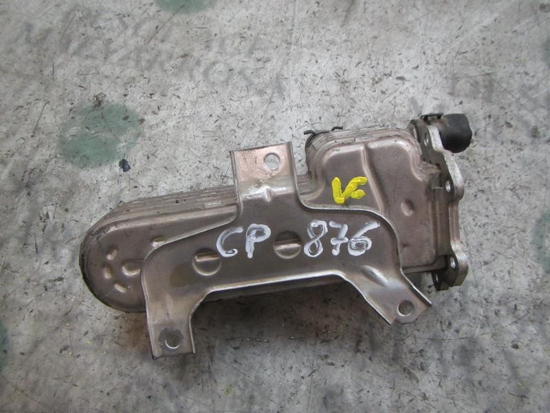 Recambio de enfriador egr para volkswagen golf v berlina (1k1) sportline referencia OEM IAM 038131512H  