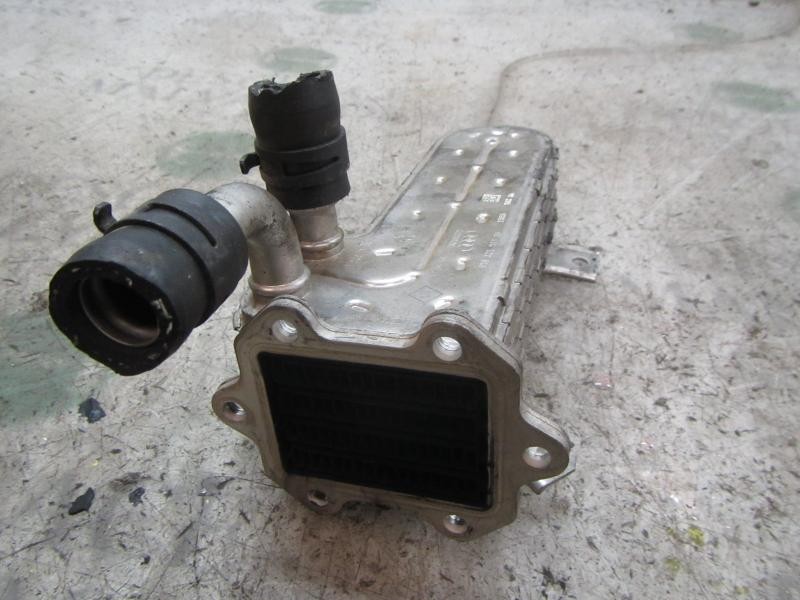 Recambio de enfriador egr para volkswagen golf v berlina (1k1) sportline referencia OEM IAM 038131512H  