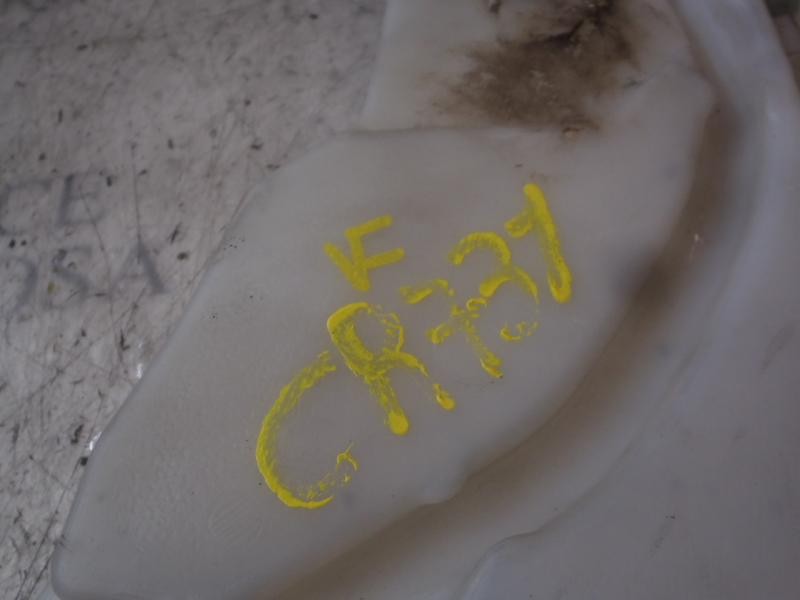 Recambio de deposito limpia para ford focus berlina (cap) titanium referencia OEM IAM   