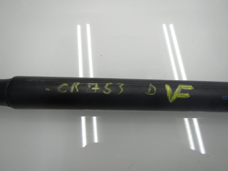 Recambio de amortiguadores maletero / porton para ford fiesta (cb1) trend referencia OEM IAM   