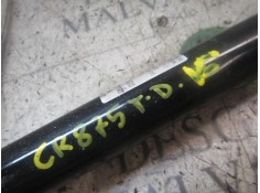 Recambio de amortiguador trasero derecho para fiat punto (199) 1.2 cat referencia OEM IAM 51943198   2