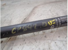 Recambio de amortiguadores maletero / porton para fiat bravo (198) 1.9 dynamic multijet referencia OEM IAM 51812267   2