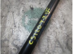 Recambio de amortiguadores maletero / porton para ford fiesta (ccn) trend referencia OEM IAM 1666068   2