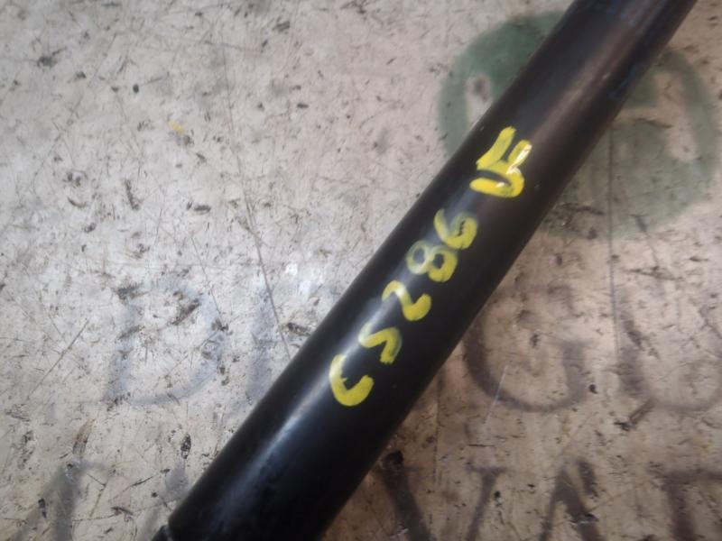 Recambio de amortiguadores maletero / porton para renault megane ii familiar authentique referencia OEM IAM   