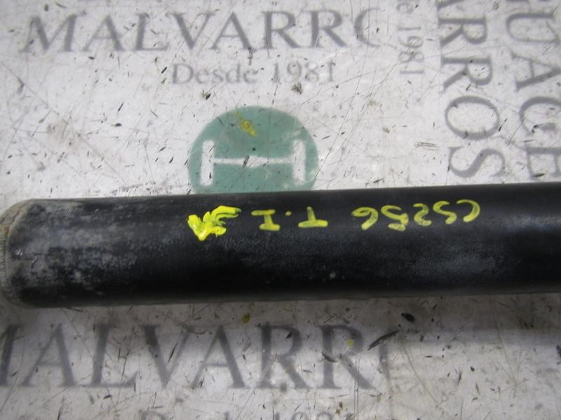 Recambio de amortiguador trasero izquierdo para bmw serie 1 berlina (e81/e87) 118d referencia OEM IAM 33526768921  