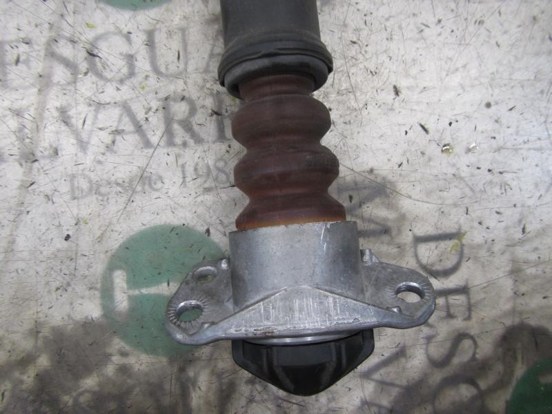 Recambio de amortiguador trasero derecho para seat ibiza (6j5) 1.2 12v referencia OEM IAM 6R0513025E  