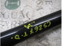 Recambio de amortiguador trasero derecho para fiat punto (199) 1.2 cat referencia OEM IAM 51943198   2